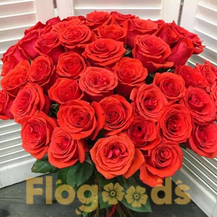51 красная роза за 19 560 руб.
